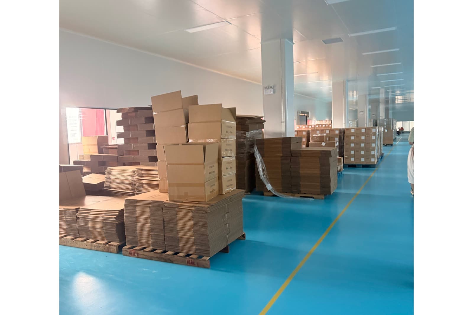 A supplier's production floor during a visit: pallets of flat-packed and finished cartons along a marked aisle.